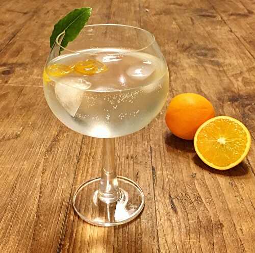 Orange and Bay Infused Gin - The Delectable Garden Food Blog
