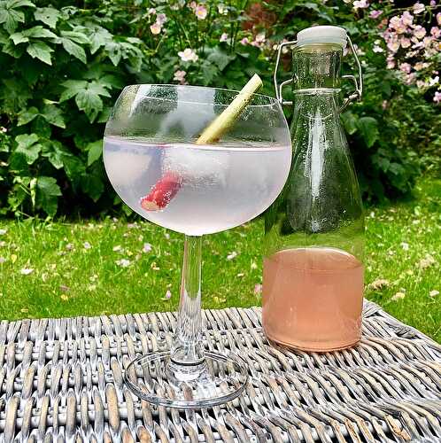 Rhubarb and Ginger Infused Gin - The Delectable Garden Food Blog
