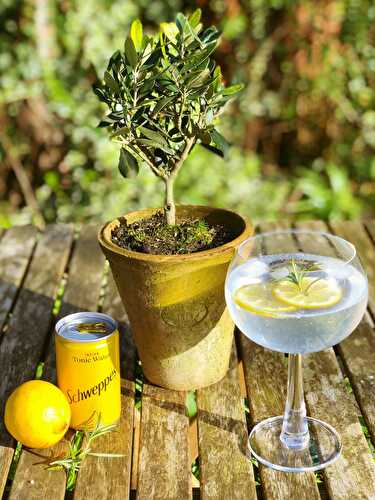 Rosemary and Lemon Botanical Gin - The Delectable Garden Food Blog
