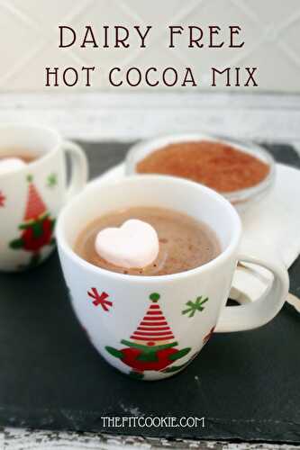 Dairy Free Hot Cocoa Mix (Gluten Free)