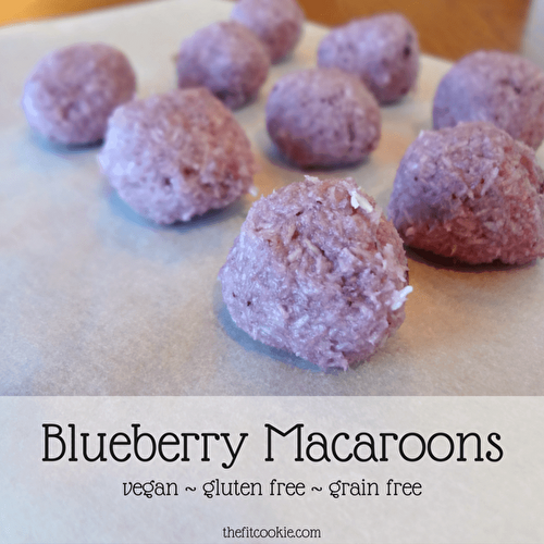 Vegan Blueberry Macaroons (Paleo)