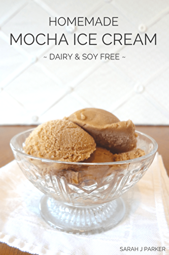 Homemade Mocha Ice Cream (Dairy Free)