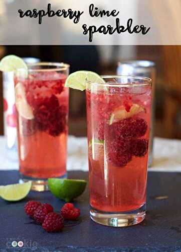 Raspberry Lime Sparkling Water Mocktail (Low Carb)