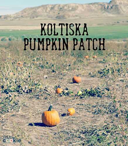 Koltiska Pumpkin Patch, Sheridan Wyoming