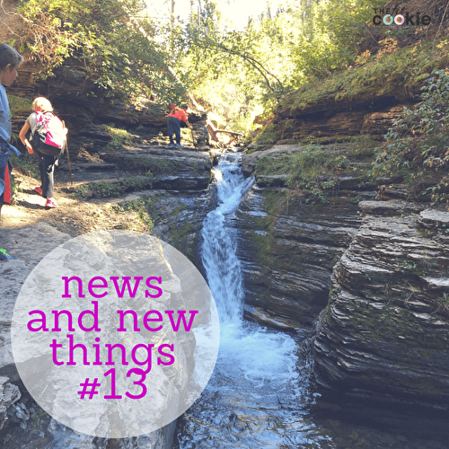 News and New Things We're Loving #13