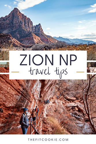 Our Best Tips for Visiting Zion National Park
