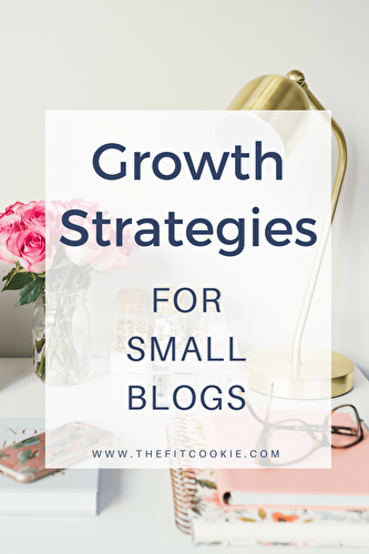 Tips and Growth Strategies for Small Blogs