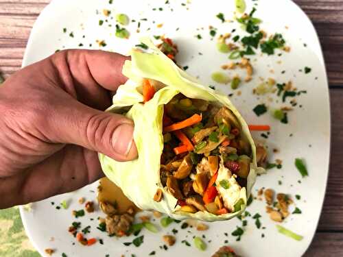 Asian Chicken Cabbage Wrap With Peanuts