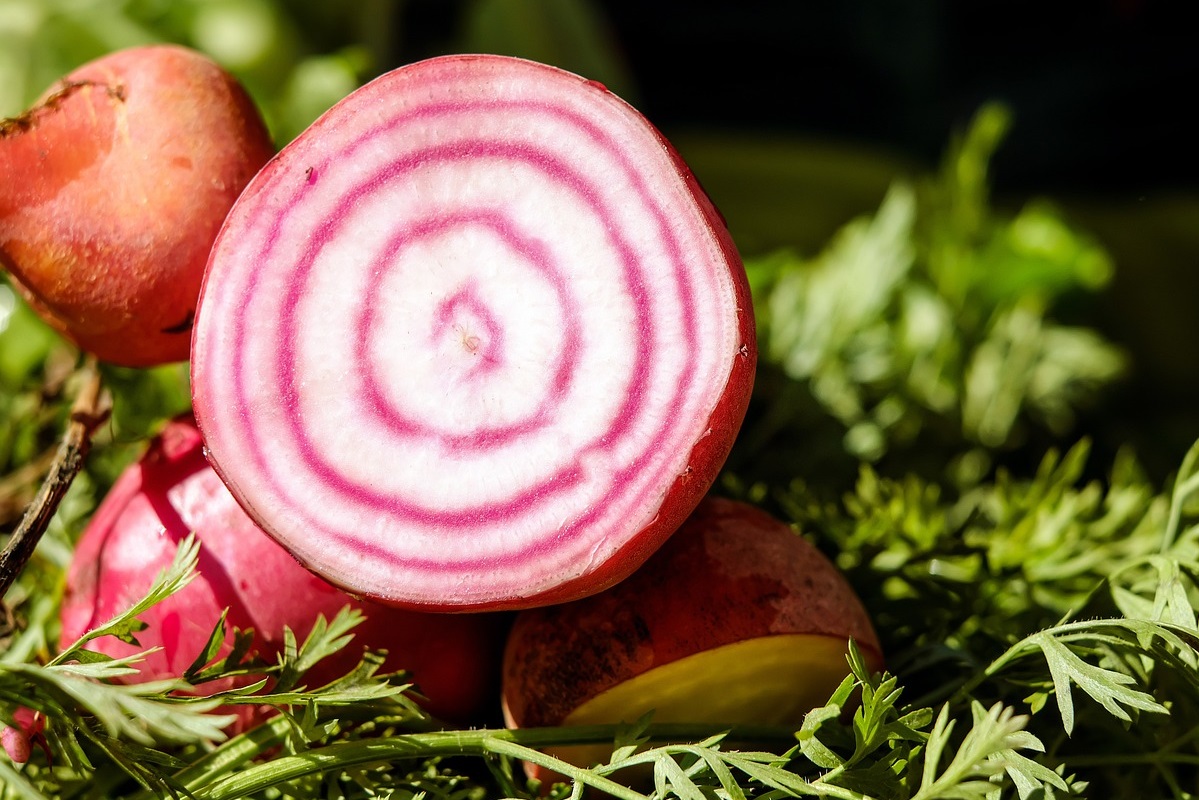 Chioggia Beets