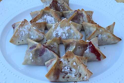 Cranberry and Brie Wontons /#Cranberry Week