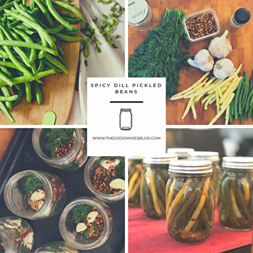 Spicy Dill Pickled Beans