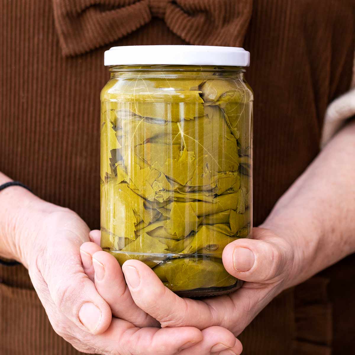 How to preserve grape leaves for dolma🌿