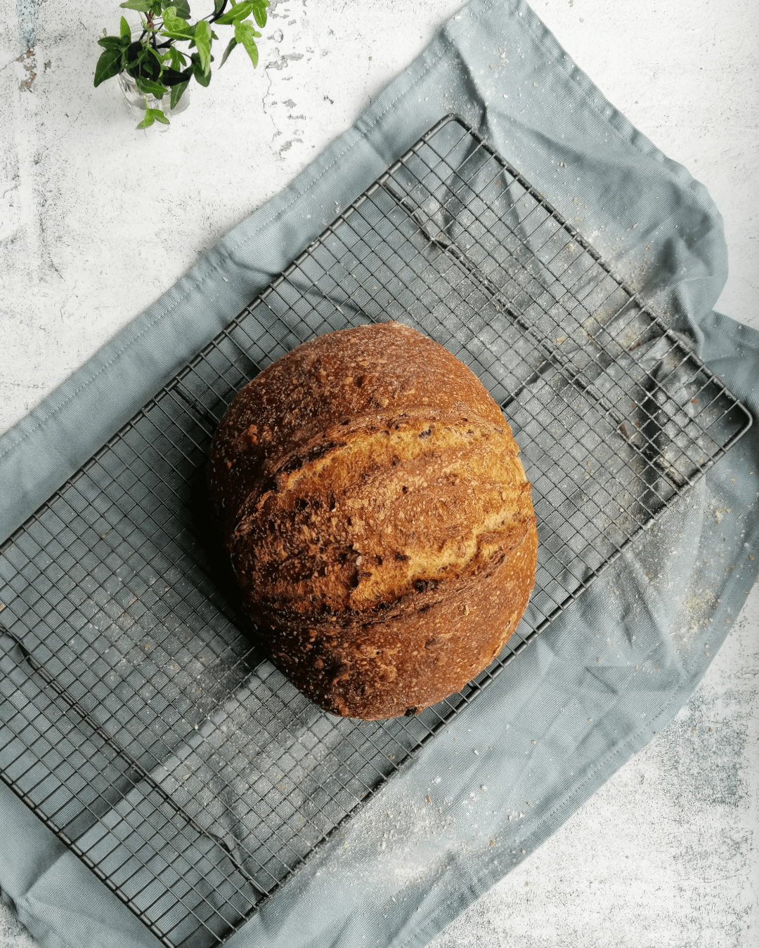 Ultimate no-knead overnight bread