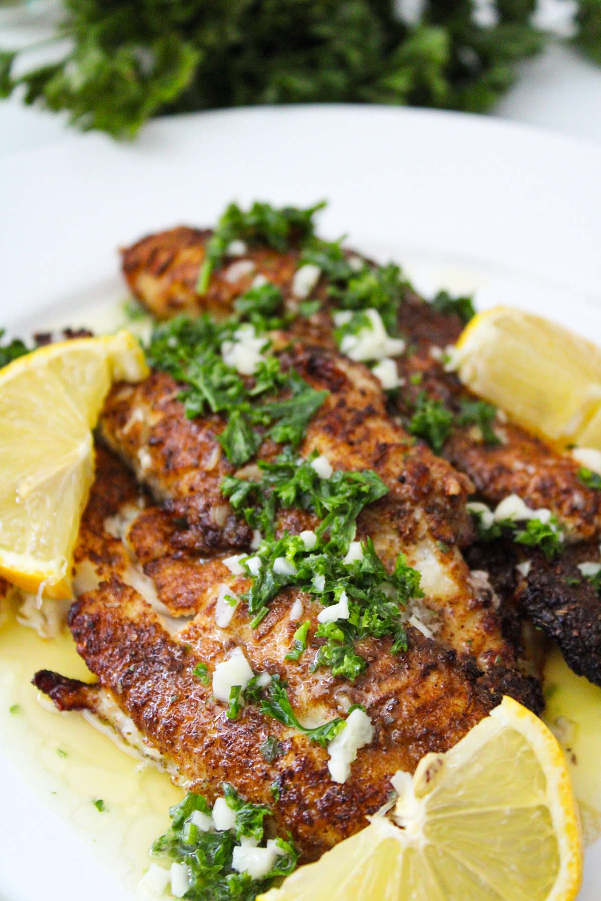 Air Fryer Blackened Catfish