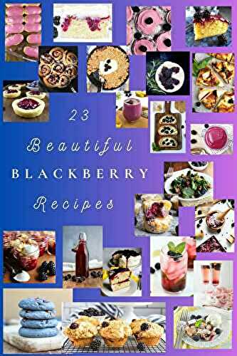 23 Beautiful Blackberry Recipes (round up)