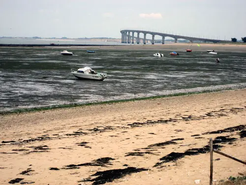 A French Meme! Pour Moi? Mais Oui!