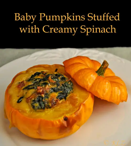 Baby Pumpkins Stuffed with Creamy Spinach; French food fun