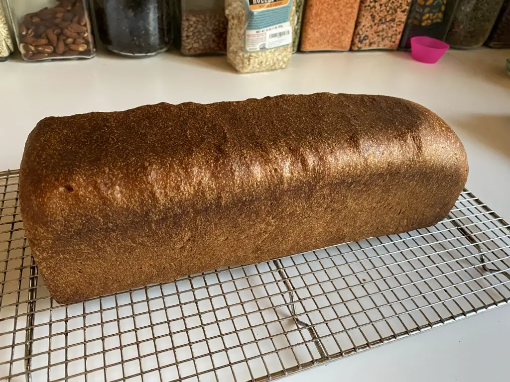 Bread Baking Babes Bribe Bees