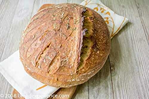 Bread Baking Babes go a little fruity: Pain au Levain with Citrus