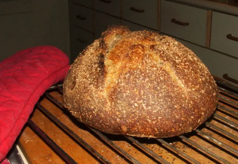 Bread Baking Babes take a walk on the dark side