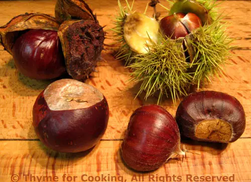 Butternut Squash Timbales with Chestnut Apple Sauce and Foraging for Food