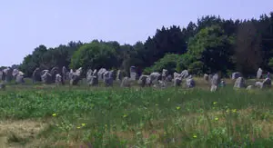 Carnac, Standing Stones & Vannes