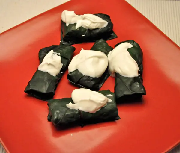 Chard Leaves Stuffed with Bacon and Mushrooms, meanderings