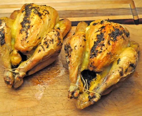 Cornish Game Hens with Herb Sauce; spring or not