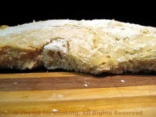 Crocodile Bread: That's a Croc! No, it's Bread! Are you sure...