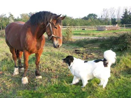 Drat! Now they're making us buy a new car!