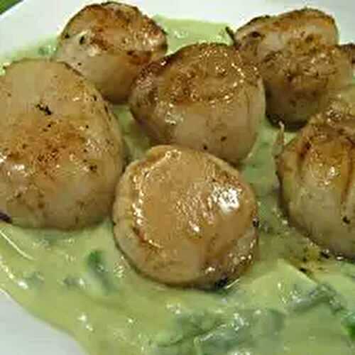 Grilled Scallops with Avocado Sauce