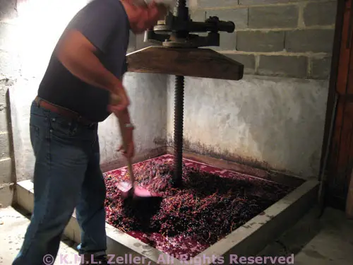 Herbed Orzo, Risotto Style; and Very Bad, Lazy Wine!