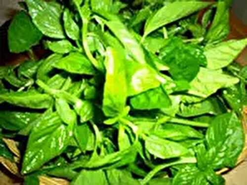 Irish Soda Bread, a Reward for Being a Good Geek!