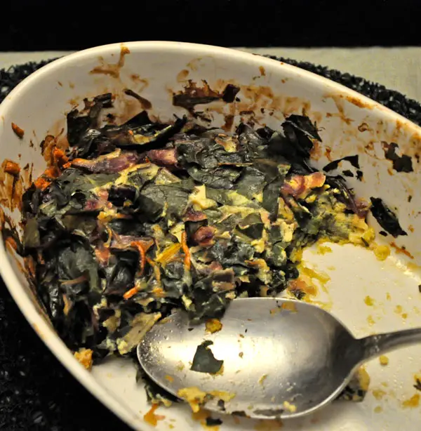 Last Chard Gratin, dog camp