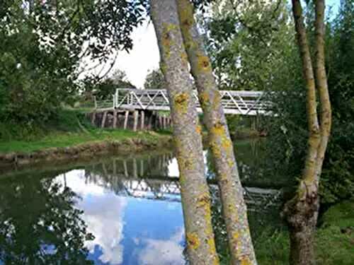 Life is Different Here