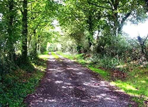 Memorial Day.... The French do not forget.