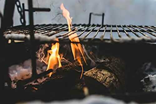 Outdoor Grills: How to Choose the Right One