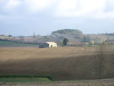 Pasta with Chevre, Ham and Peas; Keeping the Home Fires Burning