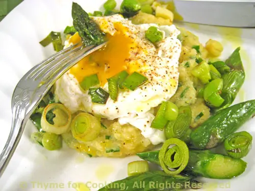 Poached Egg with Polenta, Green Garlic and Asparagus; an Award