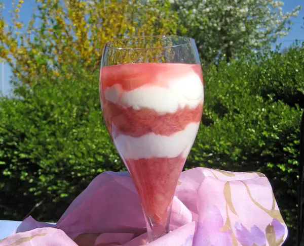 Rhubarb, Vanilla Yogurt Parfait, foodie burnout?