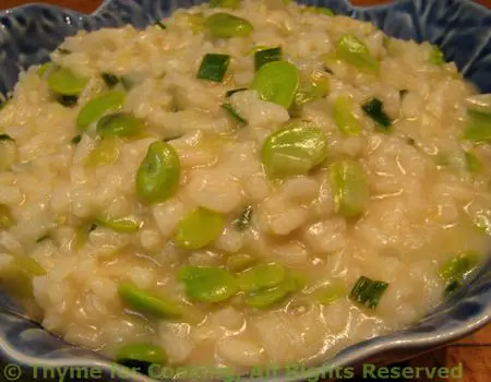 Risotto with Fresh Fava (Broad) Beans