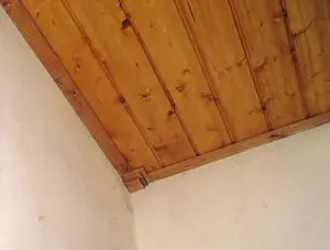 Spinach En Croute, with Tomato Sauce; the countdown begins...