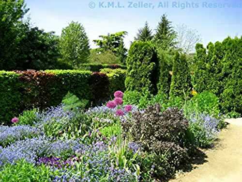 Spring is Purple, at Giverny