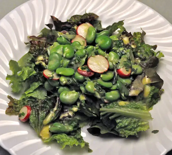 Spring Salad with Fresh Fava Beans, Radishes and Lettuce, prepping fava beans