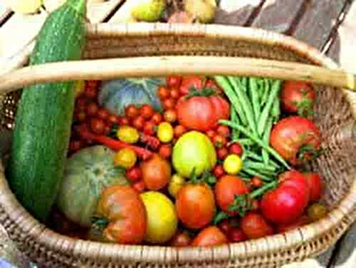 The fall harvest....and Pizza!