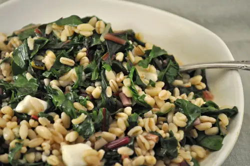 Warm Barley and Chard Salad, Bonnie and Guapa tell tales
