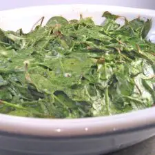 Spinach & Ricotta Gratin