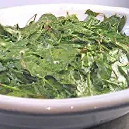 Spinach & Ricotta Gratin