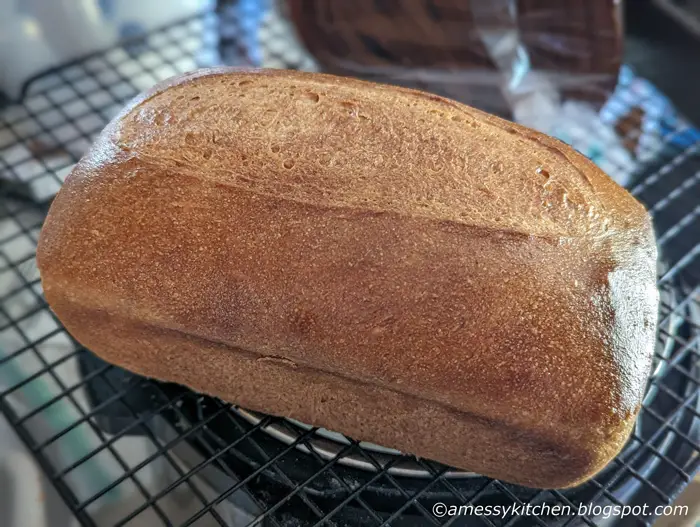 The Babes are Approachable