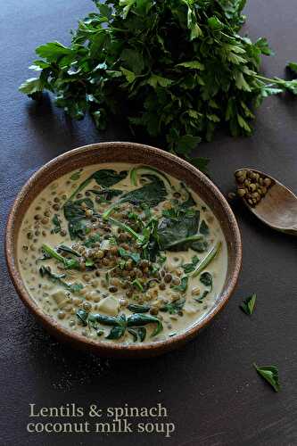 Lentils & spinach coconut milk soup